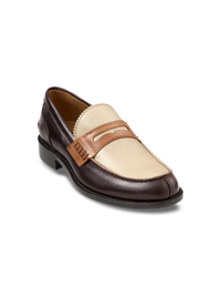 Glenn Penny Loafer - Brown Multi