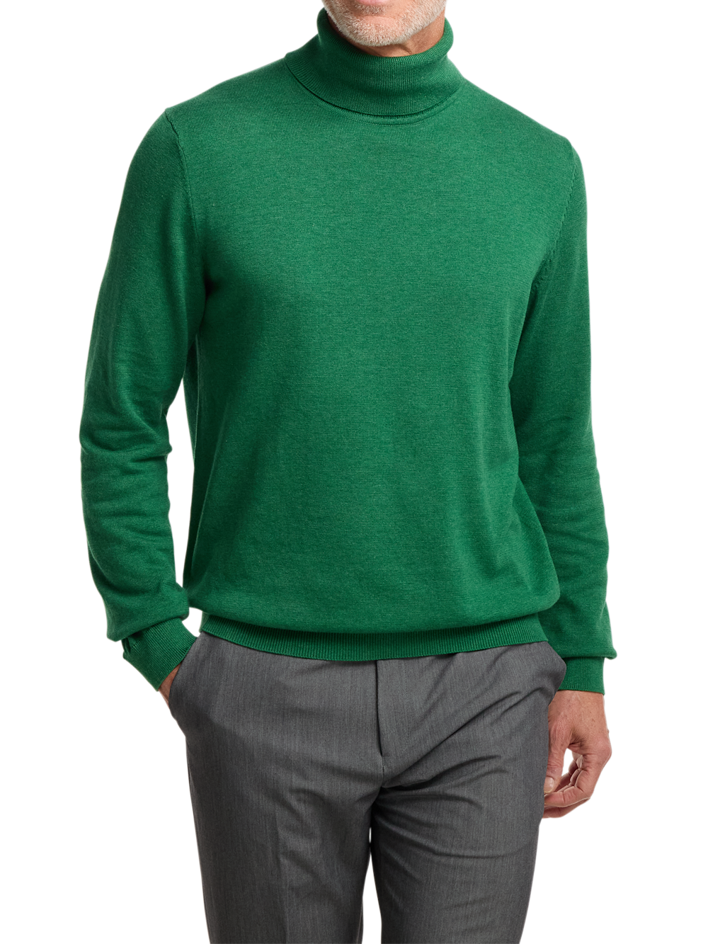Alternate Image of Supima Cotton Turtleneck-1
