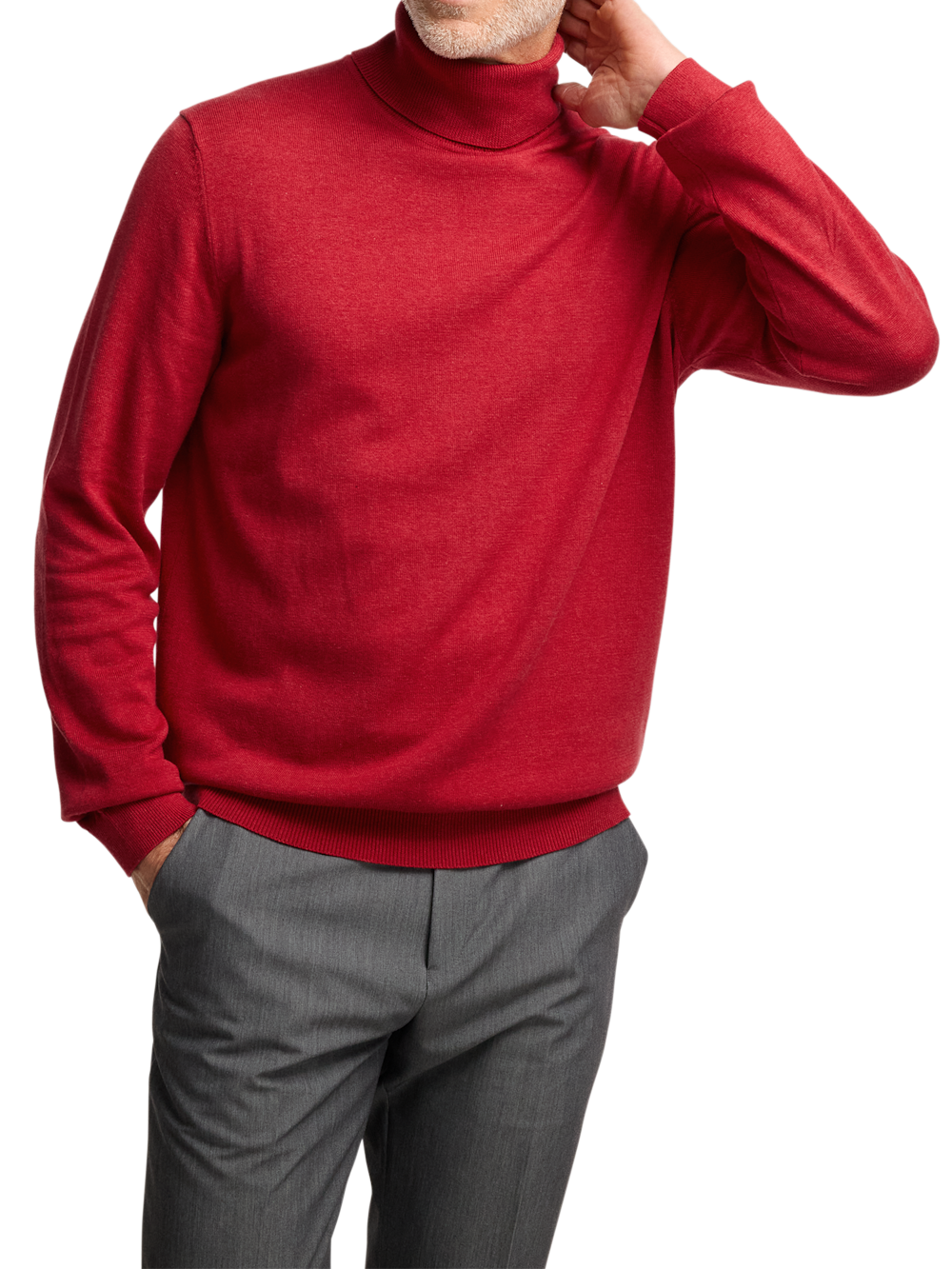 Alternate Image of Supima Cotton Turtleneck-1
