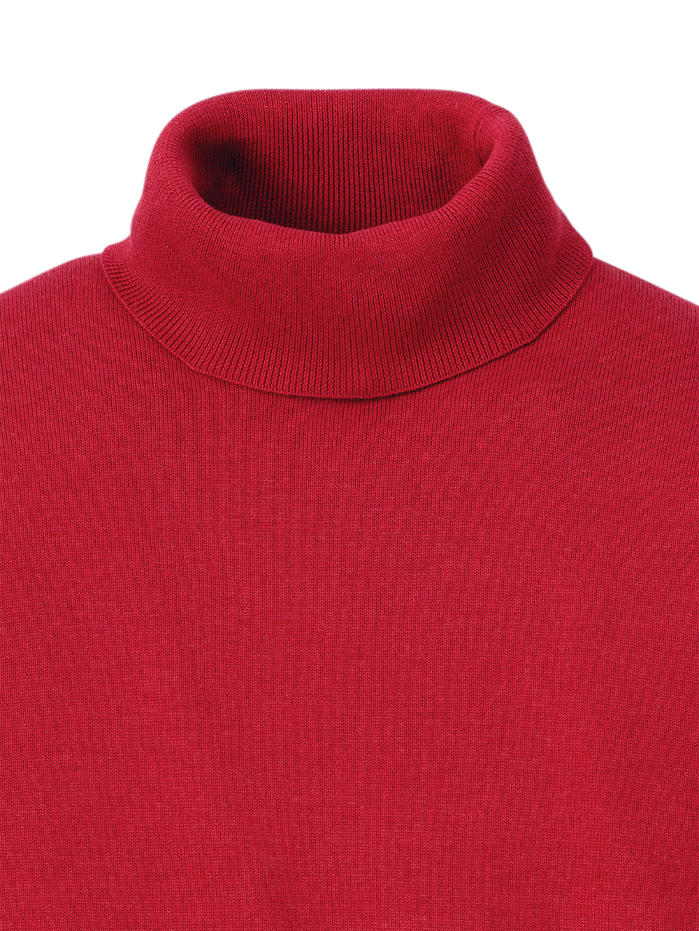 Alternate Image of Supima Cotton Turtleneck-5