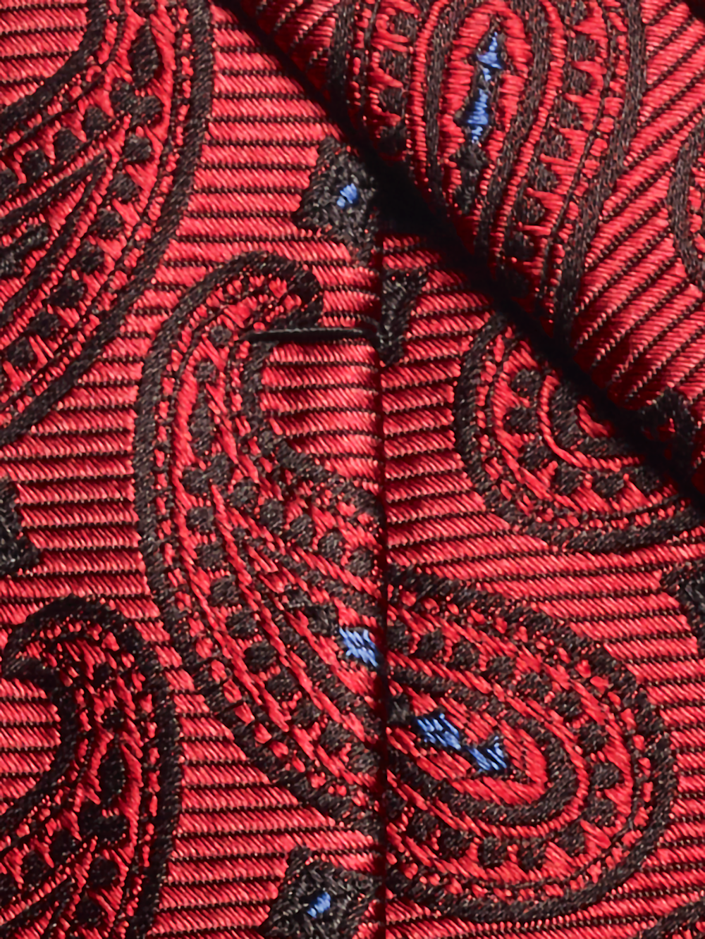 Alternate Image of Paisley Woven Silk Tie-3